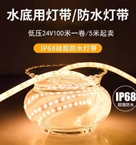 Underwater light with outdoor waterproof 24V high-brightness IP68 bubble underwater silicone light with landscape low-voltage LED line light