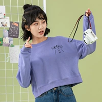 5381-380 Blue-Purple