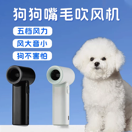 Бишон фризе специальный рот волосы фен собака мини маленькая сушка феном для лица беспроводной домашнее животное маленький щенок
