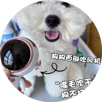 Dog hair dryer puppy small fan face blower blowing beard tear stains eyes and mouth artifact wireless portable