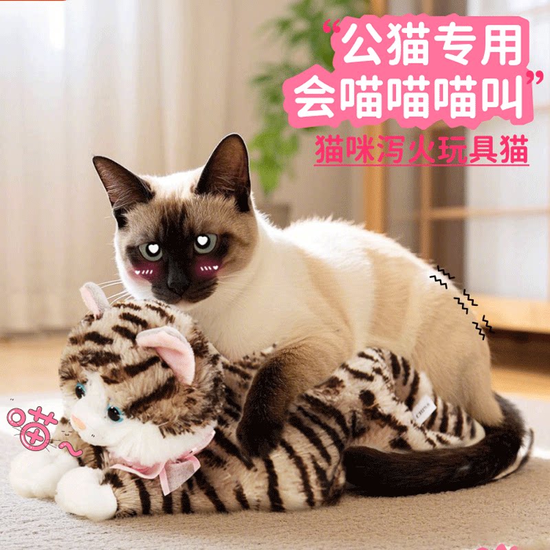 磁力狗玩具，真的安全吗？真相大揭秘！