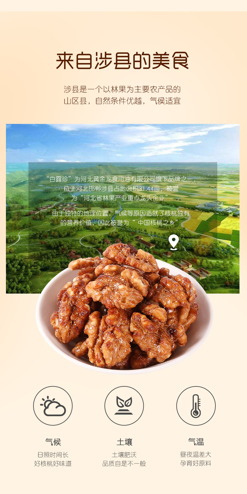 白露珍 琥珀核桃仁 100g*3罐 图12