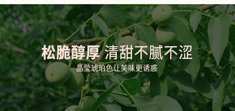 白露珍 琥珀核桃仁 100g*3罐 图3