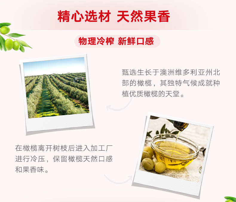 临期好价 澳洲进口 特级初榨橄榄油3L 图4