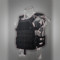 Armor ZPC Vest Gen4