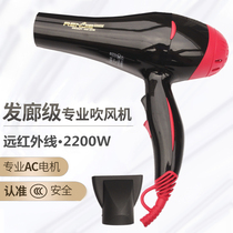 Renjie 828 hair dryer Household high-power hair salon Barber shop hairstyle Pet hot and cold air freight insurance
