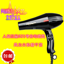 Renjie 821 high-power hair dryer constant temperature hair salon professional hair dryer hot and cold air quick dry