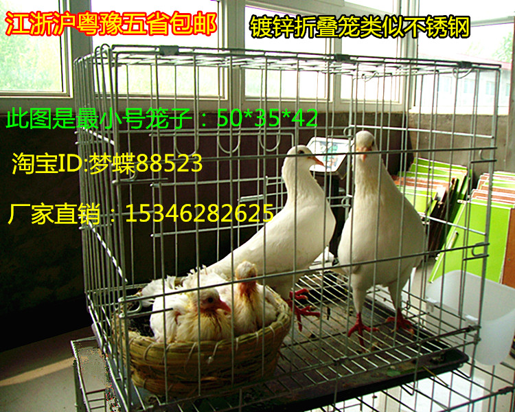 Lồng chim bồ câu mạ kẽm lồng chim bồ câu cung cấp dụng cụ vật nuôi lồng lồng gà lớn lồng chim bồ câu cặp lồng - Chim & Chăm sóc chim Supplies lồng chim gỗ