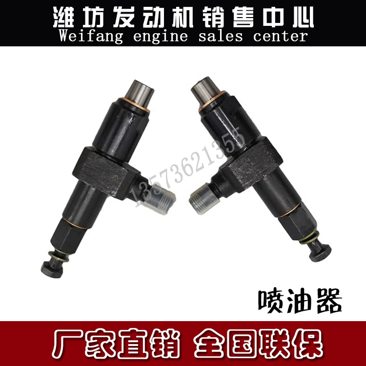 Weifang Weichai Huafeng Diesel Engine 4100 4102 4105 4108 6105 Injector Injector