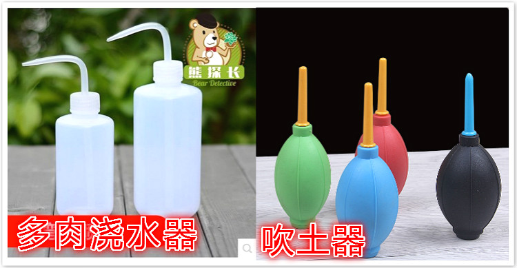 Công cụ trồng mọng nước kết hợp đặt hoa mini làm vườn cung cấp thịt chậu công cụ thịt vòi tưới rau