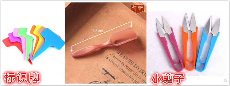 Công cụ trồng mọng nước kết hợp đặt hoa mini làm vườn cung cấp thịt chậu công cụ thịt vòi tưới rau