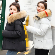 Winter small cotton-padded jacket women short winter wear 2021 new big hair collar Dongdaemun thick down cotton jacket