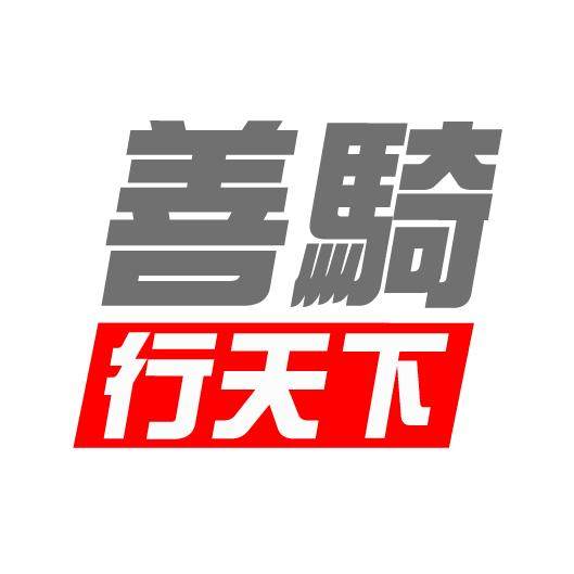 善骑集团企业店的LOGO
