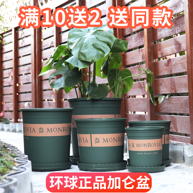 Global gallon pot Extra large thickened resin plastic flower pot Balcony flower plant vegetable fleshy green dill flower pot