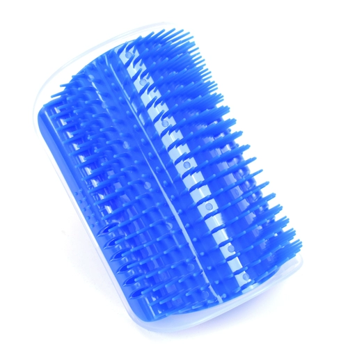 Кошка терьера, кошачья стена, царапина, щекотка, щекотка, волосы, лицо, бюстгатан