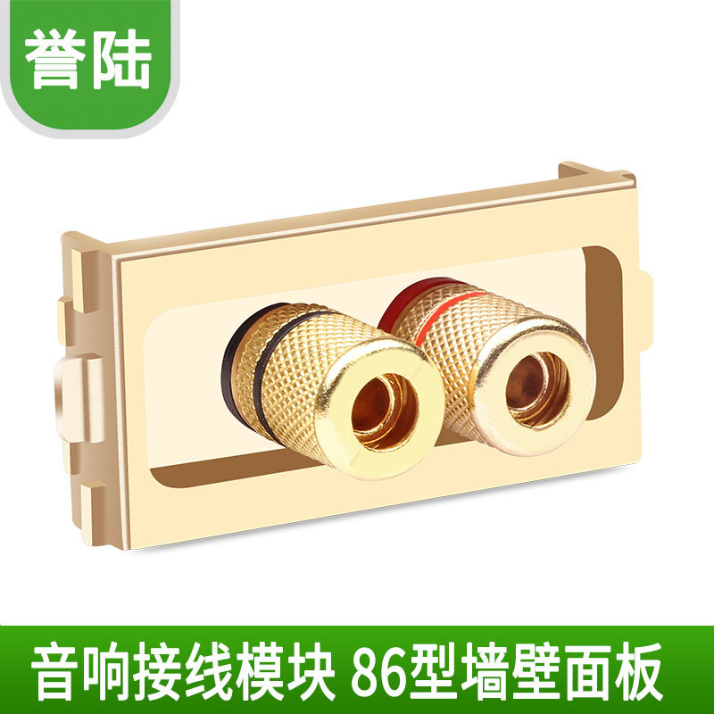 Champagne Gold 86 Sound Wall Plug Module Two Speaker Audio Socket Banana Head Function Module