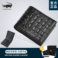 2009-1 Черная спина кости