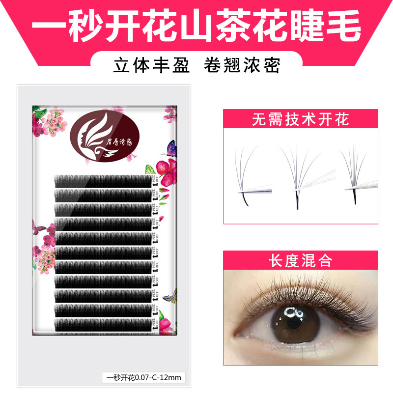 Mink Mountain Tea Flower Magnacia Magna Eyelash Tool for Grafting Self-grafting Set