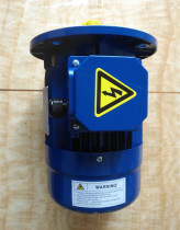 Grand Lima Rally MarelliMotori motor Italy original imported motor single-phase motor