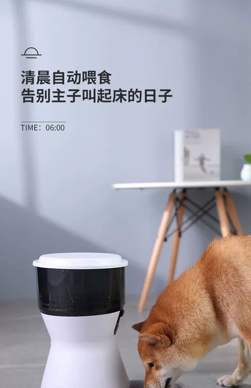 Pet tự động trung chuyển thời gian thông minh định lượng máy cho ăn cho mèo ăn thức ăn cho chó nhân tạo camera giám sát bát thức ăn cho mèo - Cat / Dog hàng ngày Neccessities 	bát đựng thức ăn cho mèo