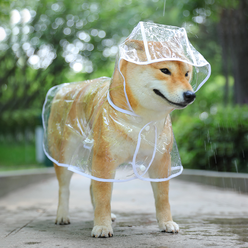 Puppy raincoat Waterproof Pooch teddy Medium Small Dog Beauté Pet Rain Beatkirky rainy day clothes full bag