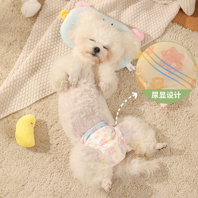 Dog diapers women dog menstrual pants pet male dog special diapers women dog menstrual period ປ້າຜ້າອະນາໄມ