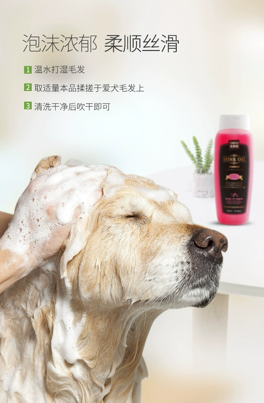 Dog tắm gel đặc biệt Teddy dầu gội chó mèo dầu gội khử trùng khử mùi vật nuôi cung cấp tắm tắm - Cat / Dog Beauty & Cleaning Supplies