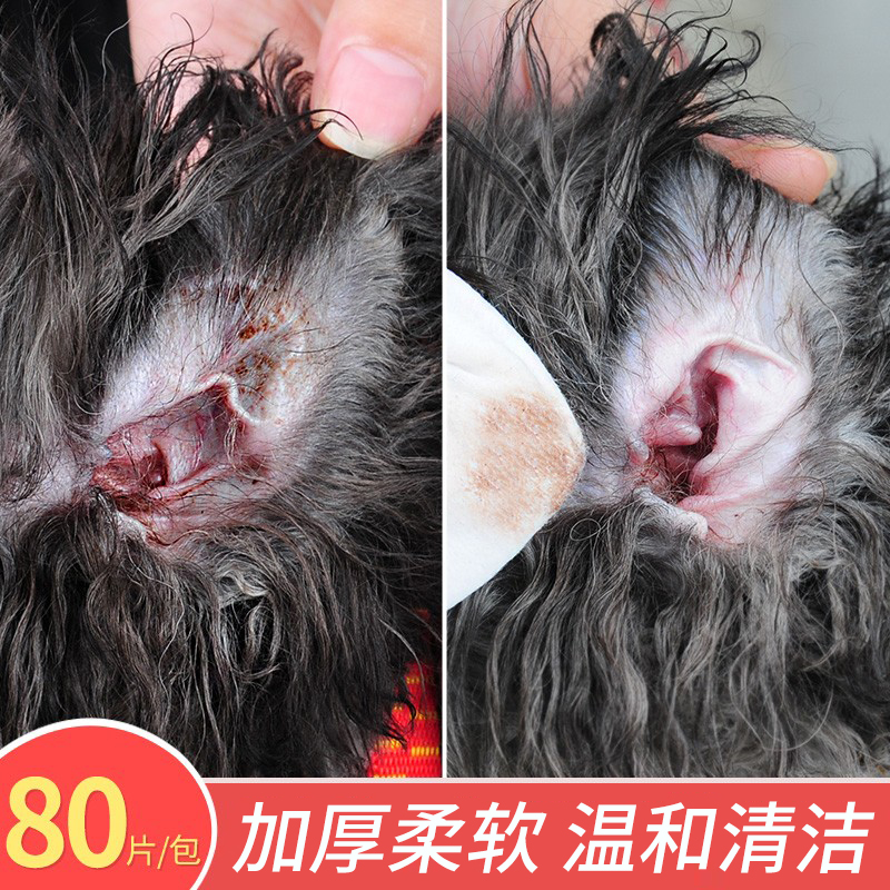 Pets Wet Wipes Kitty pooch eye nest Puppy Deodorant Germicidal Wipe Ass Teddy Dog Special Young Dog Wet Tissue