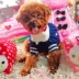 Pet Áo len Quần áo Teddy Bomei VIP Puppy Dog Bear Dog Cat Chó nhỏ Dệt kim Chó Quần áo - Quần áo & phụ kiện thú cưng