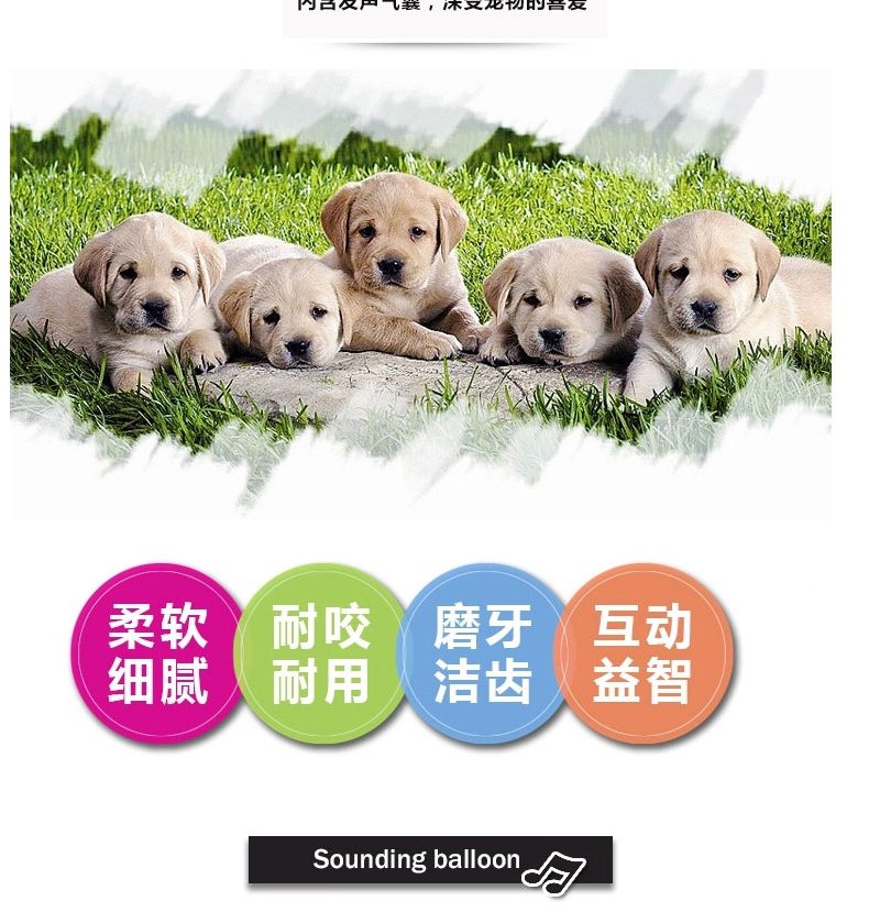 Pet dog toy vocal bóng mol cắn đào tạo Teddy bear puppies con chó và con chó đồ chơi nguồn cung cấp bóng đồ chơi cho mèo gặm