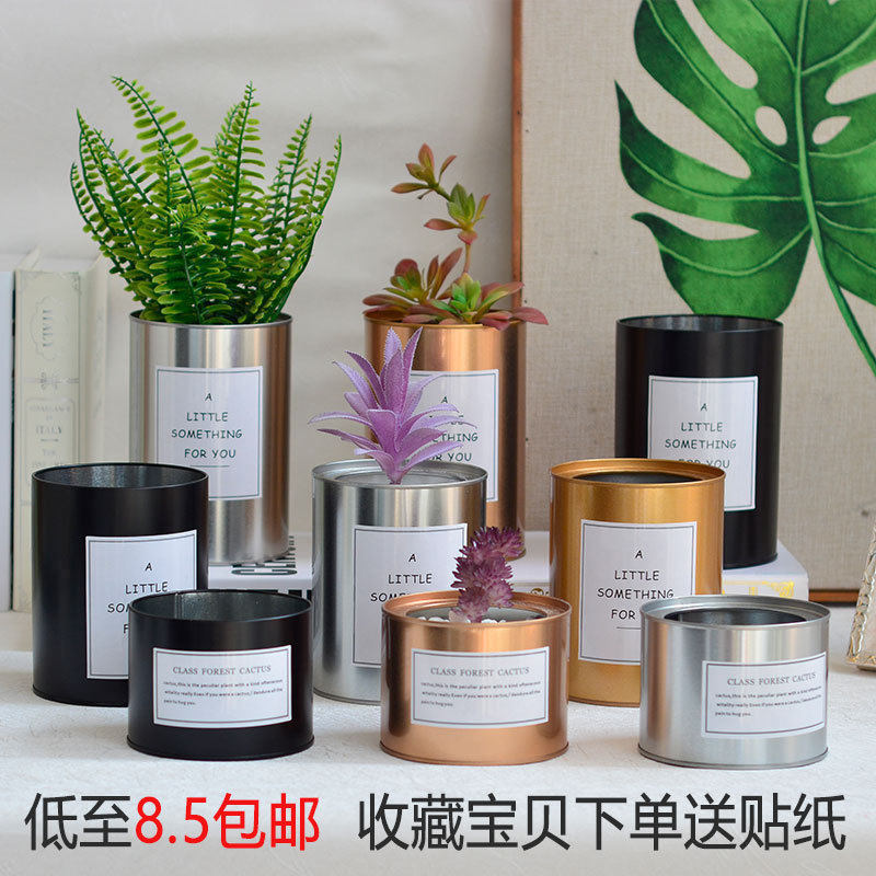 In Vase Living Room Home Decoration Accessories Creative Nordic Ferron Iron Little Qinghai Flower Pot