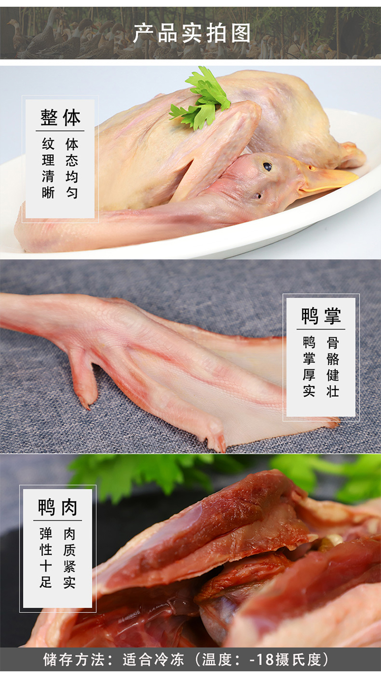 湖州农家散养老鸭子 3斤 现杀现发 图4