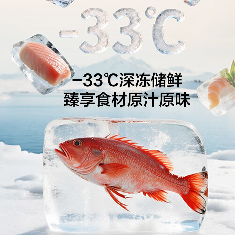 格力BCD-658WGNEK2SPDCA冰箱图片