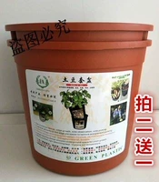 Посадка горшка, коричневый цвет