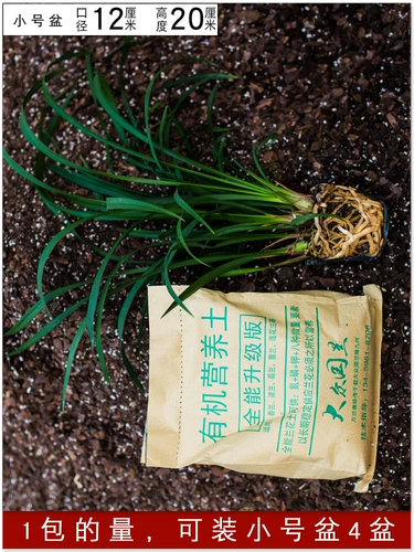 Популярная национальная почва для орхидей, специальная почва, питательная почва, сосновая кора, посадочный материал, джентльмен, саженцы орхидей, орхидея-бабочка, почва для орхидей в горшках