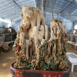 Большой внутренний двор водяной камень поглощение каменное колокол часы расщепление рок