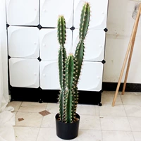 Комбинация шестигранной колонны