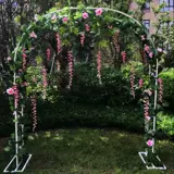 Железная лазалка, уличная садовая арка, подставка для цветов, потос, лазалка для растений, балкон, двор, садовая подставка для цветов