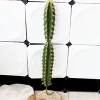 Гексагональная колонка 80 см (без бассейна)