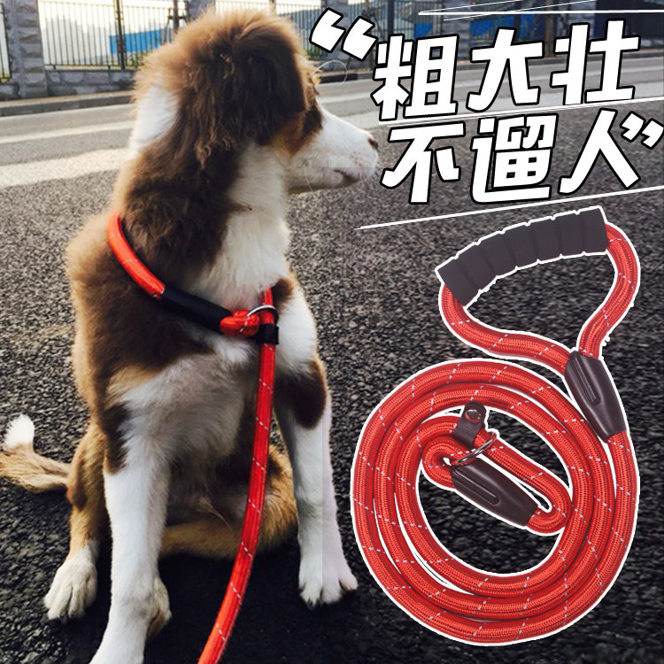 Explosion-proof punching P chain p rope dog leash golden retriever Samoyed Husky Alaskan dog rope chain large dog