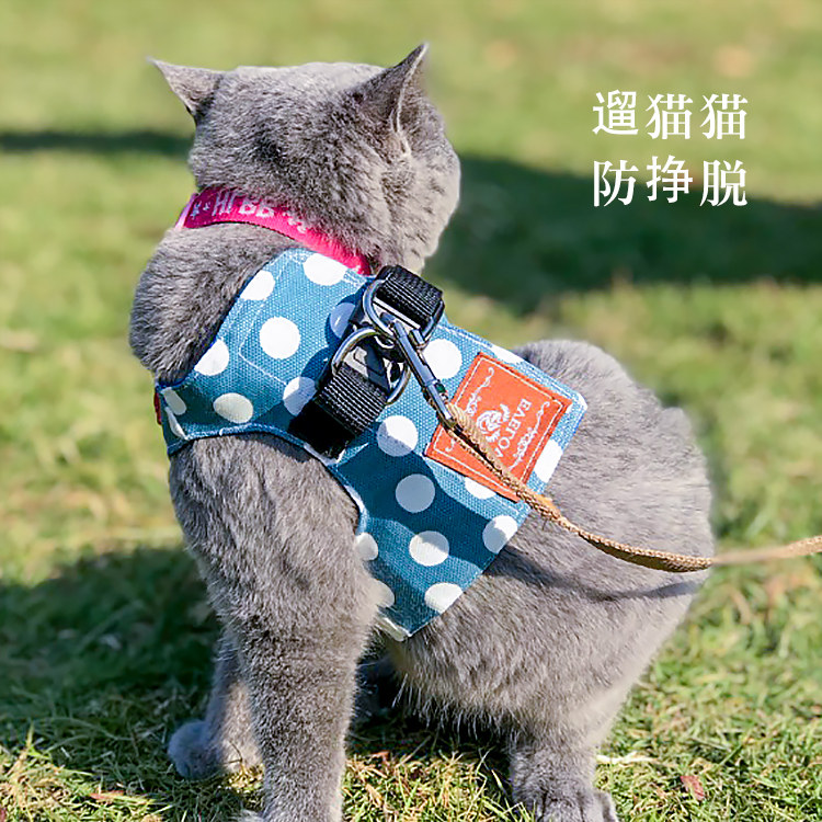 Cat rope cat traction rope walking cat rope chest holding baby bag vest type cat rope cat chain cat special fat cat rope