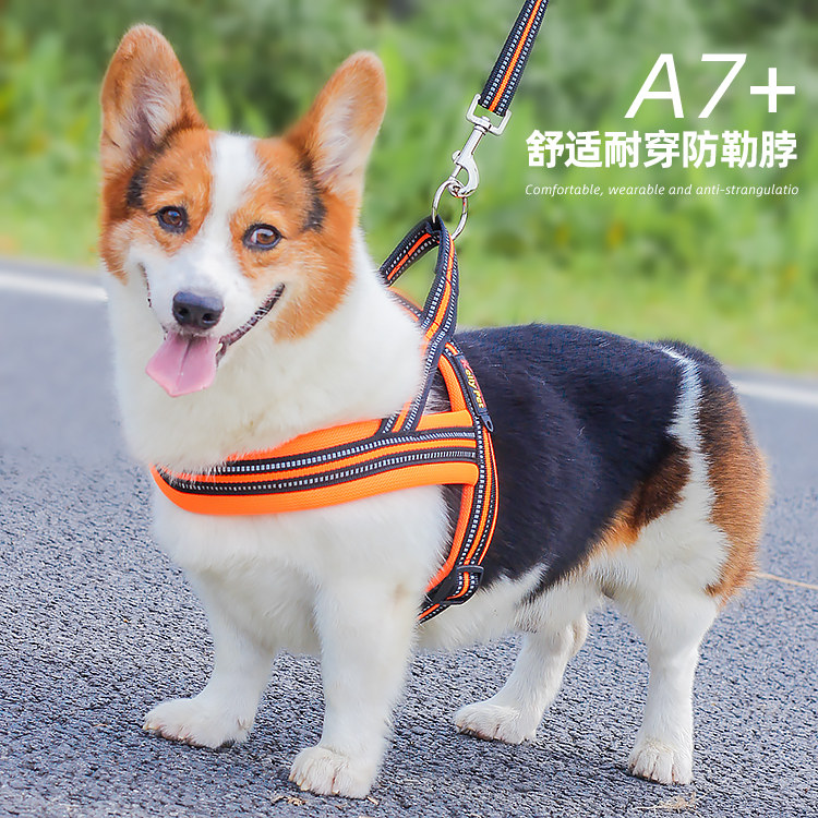 Fadok Koki Haschilabrador dog traction rope bag bag bag medium dog large dog walking the rope chain