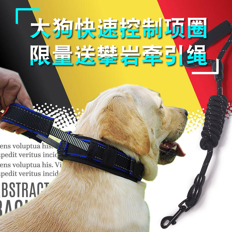 Labrador Alaska Dog Neck Ring Pet Circle