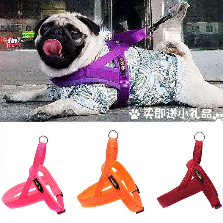 Teddy Farhopper Kirky Dogs Traction Rope Chest Holding Baby Bag Medium Canine Dog Large Dog Walking Dog Rope Dog Necklace