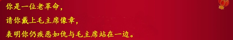 Đỏ phục vụ của người dân chân dung Chủ Tịch Mao của kỷ niệm album ảnh Mao Zedong huy hiệu trâm huy hiệu boutique 3 CM lớn