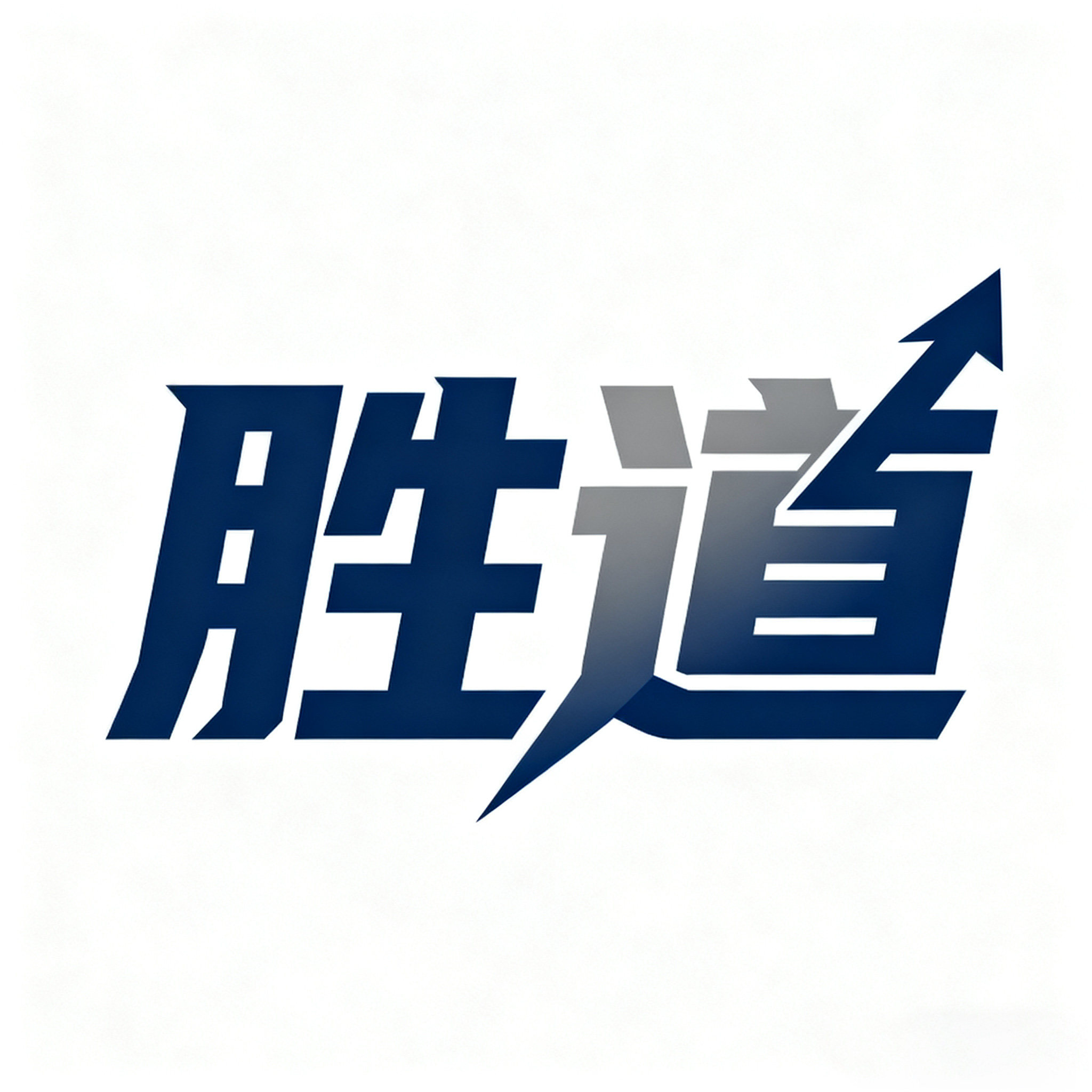 宁波胜道管业有限公司的LOGO