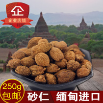 Chinese herbal medicine Saren Spring Saren spice 250g Myanmar imported premium dry seasoning Saren fruit