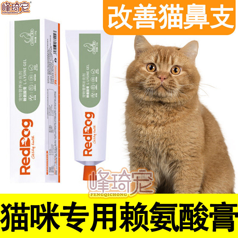 Red Dog Cat with Outrageous Acid Cream Kitty Special Cat Nose Pet Away From Amine Acid Pink Feline Cat Ampaste Nutritional Paste