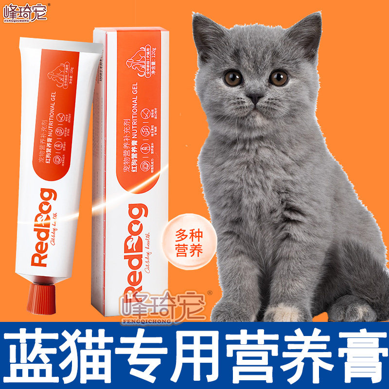 English Short Blue Cat Special Multidimensional Nutritional Paste Cat Kitty eats Pregnant Postnatal Hair Supplements Nourishment