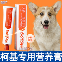 Kokie Special Multidimensional Nutritional Cream Pooch Nutritional Supplements Puppies for Complementary Nutraceutical Dogs for Dog Eating